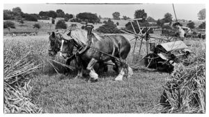 à la campagne – Denis Charpentier