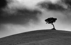 à la campagne – Philippe Galazzo