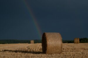 à la campagne – Christine Verger