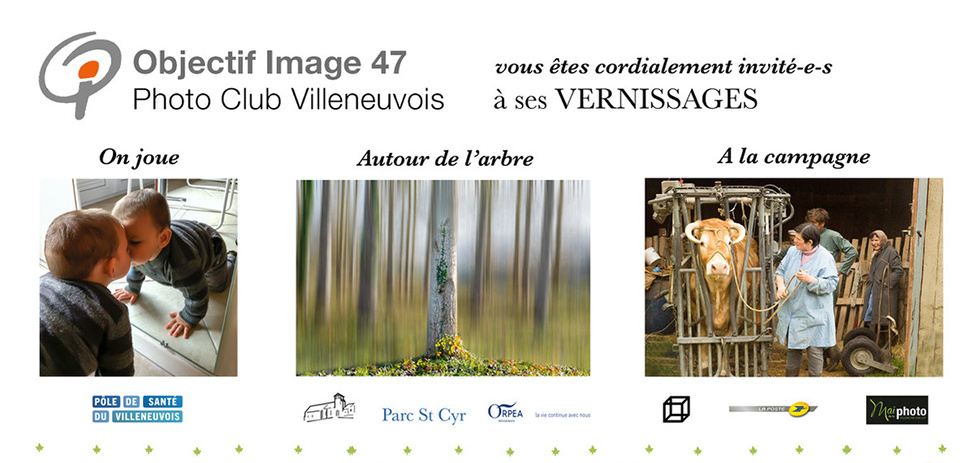 Diverses expositions à Villeneuve/Lot (47)