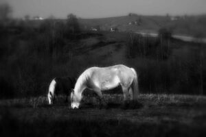 à la campagne – Jacques Breton