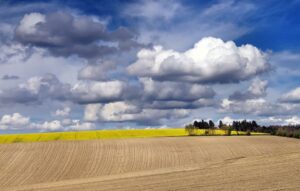 à la campagne, François Lolé