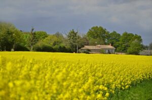 à la campagne – Frédéric Remaud