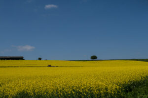 à la campagne – Serge Knauss
