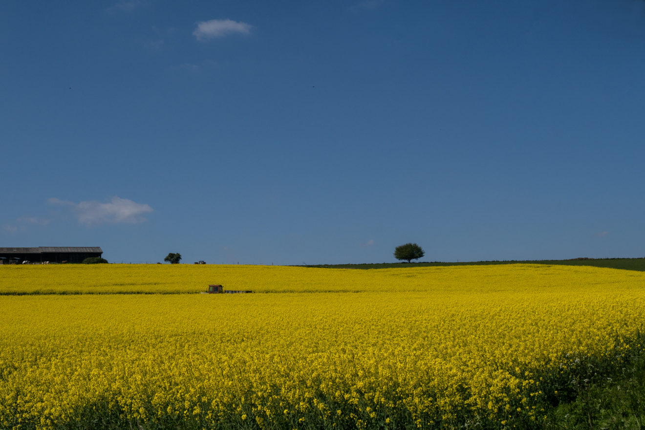 à la campagne – Serge Knauss