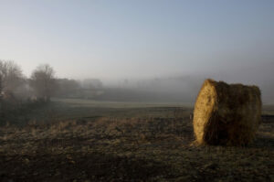 à la campagne – Objectif Image Lyon