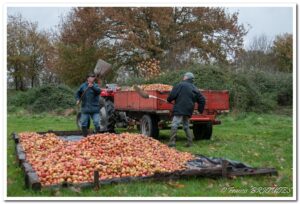 à la campagne – Saint Brieuc