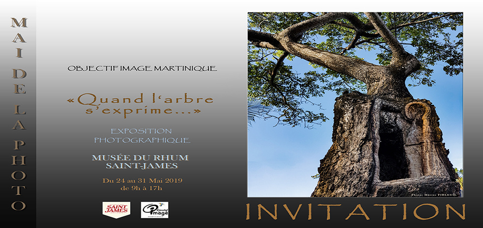 Objectif Image Martinique expose