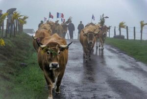 à la campagne – Objectif Image Nîmes