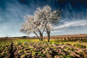 à la campagne – Philippe Bousseau