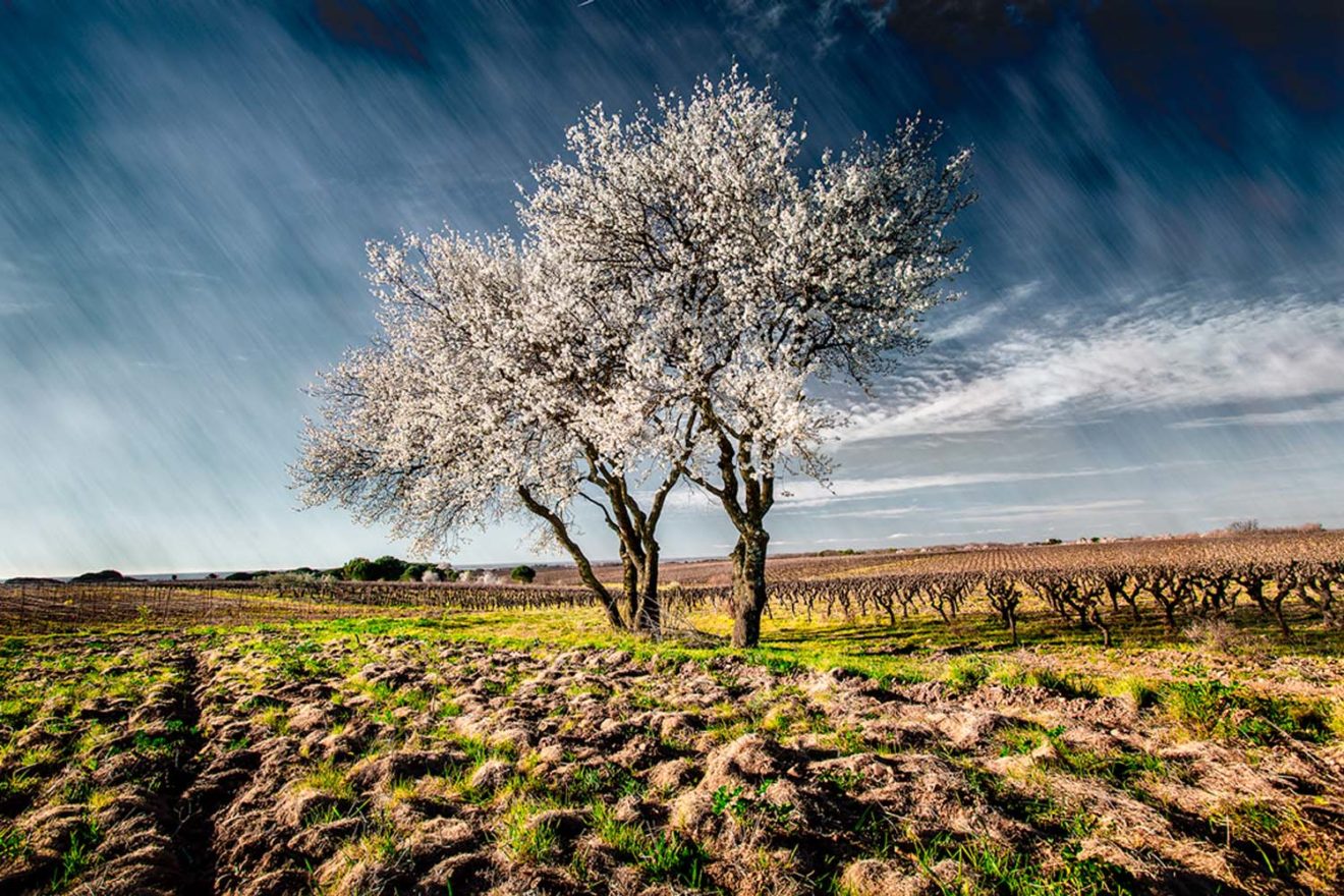 à la campagne – Philippe Bousseau