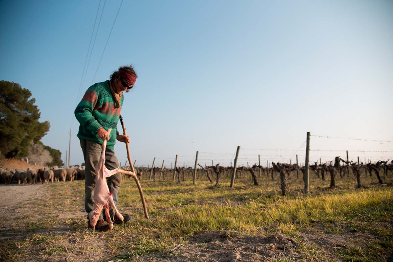 à la campagne – Yannig Le Saint