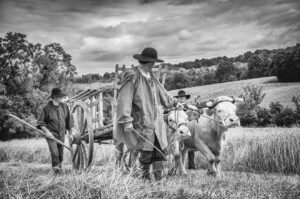 à la campagne – Eric Combeau