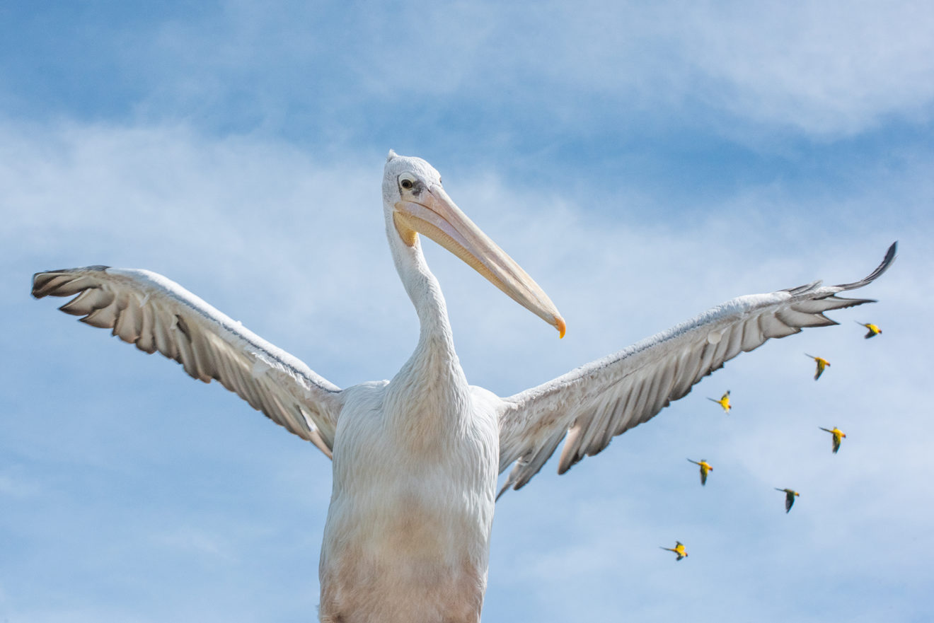 Salon National Individuel