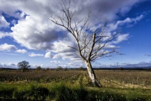 à la campagne – Objectif Image Alaric (11)