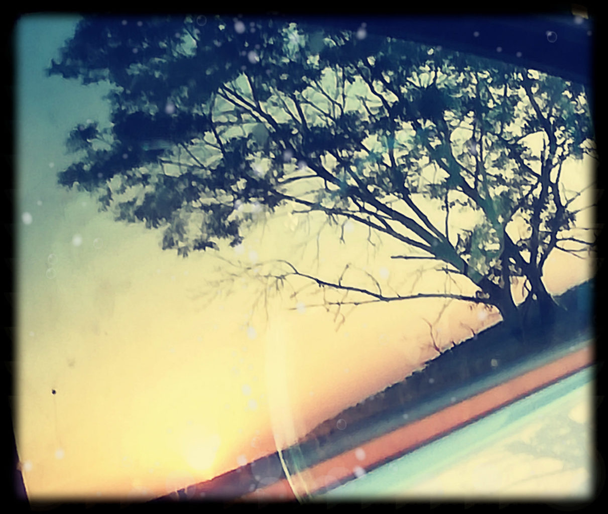 Les vacances – Maryse Brault