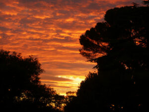 Les vacances – Marie Josephe Soyer