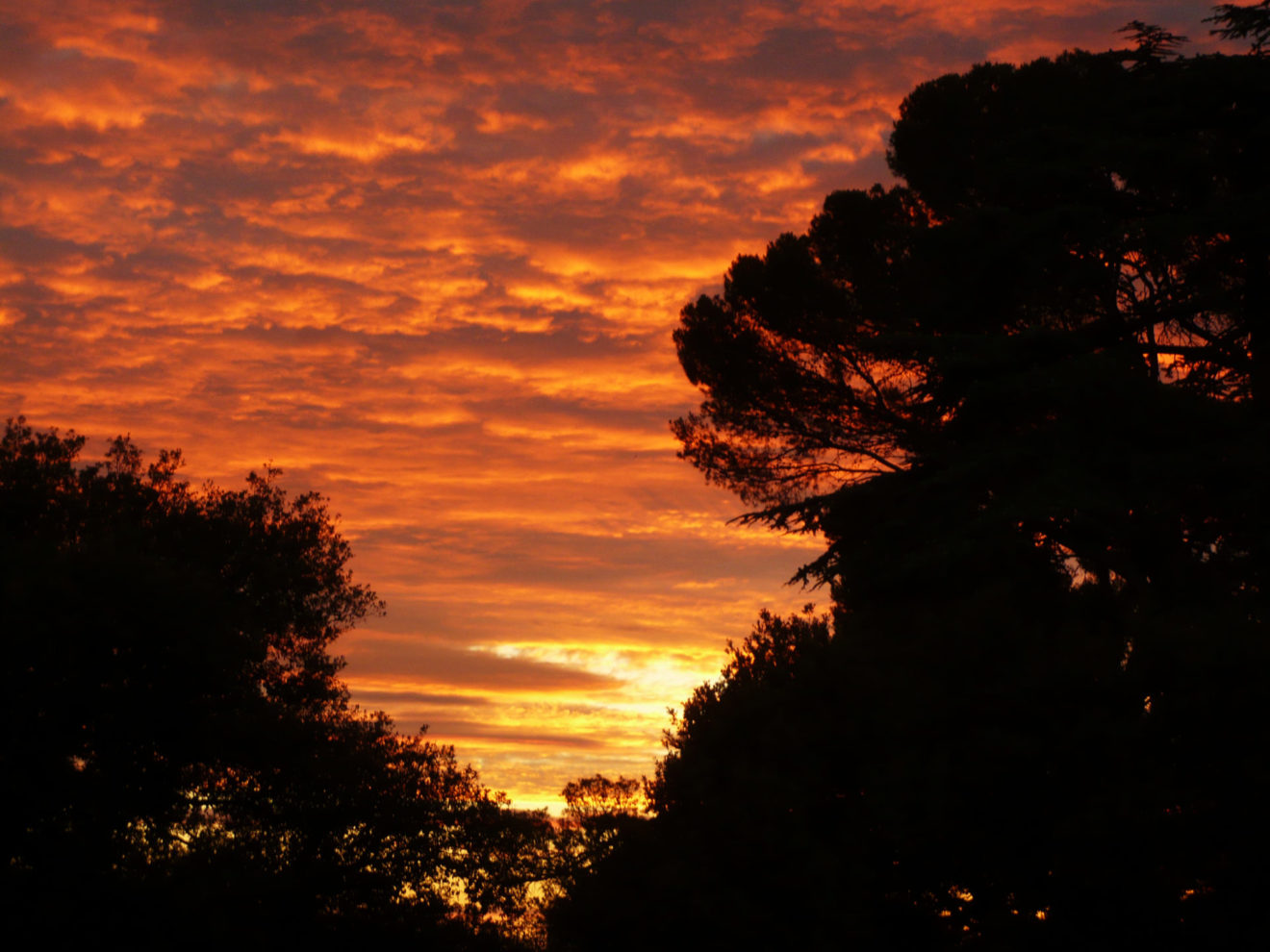 Les vacances – Marie Josephe Soyer