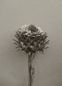 Les vacances – Antoine Leblond