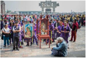Pèlerinage de La Vierge de la Guadalupe. Des roses en Hiver