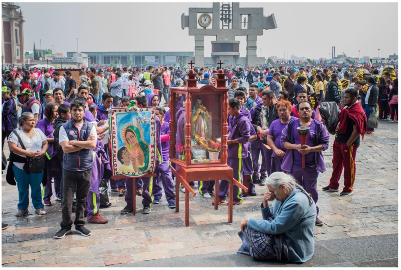 Pèlerinage de La Vierge de la Guadalupe. Des roses en Hiver