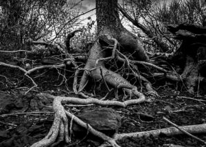 « Ordre et désordre » – Valérie Delpire