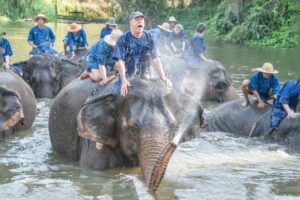 21ème Biennale – Mont de Marsan