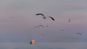 Prendre de la hauteur – Hélène Lefelle