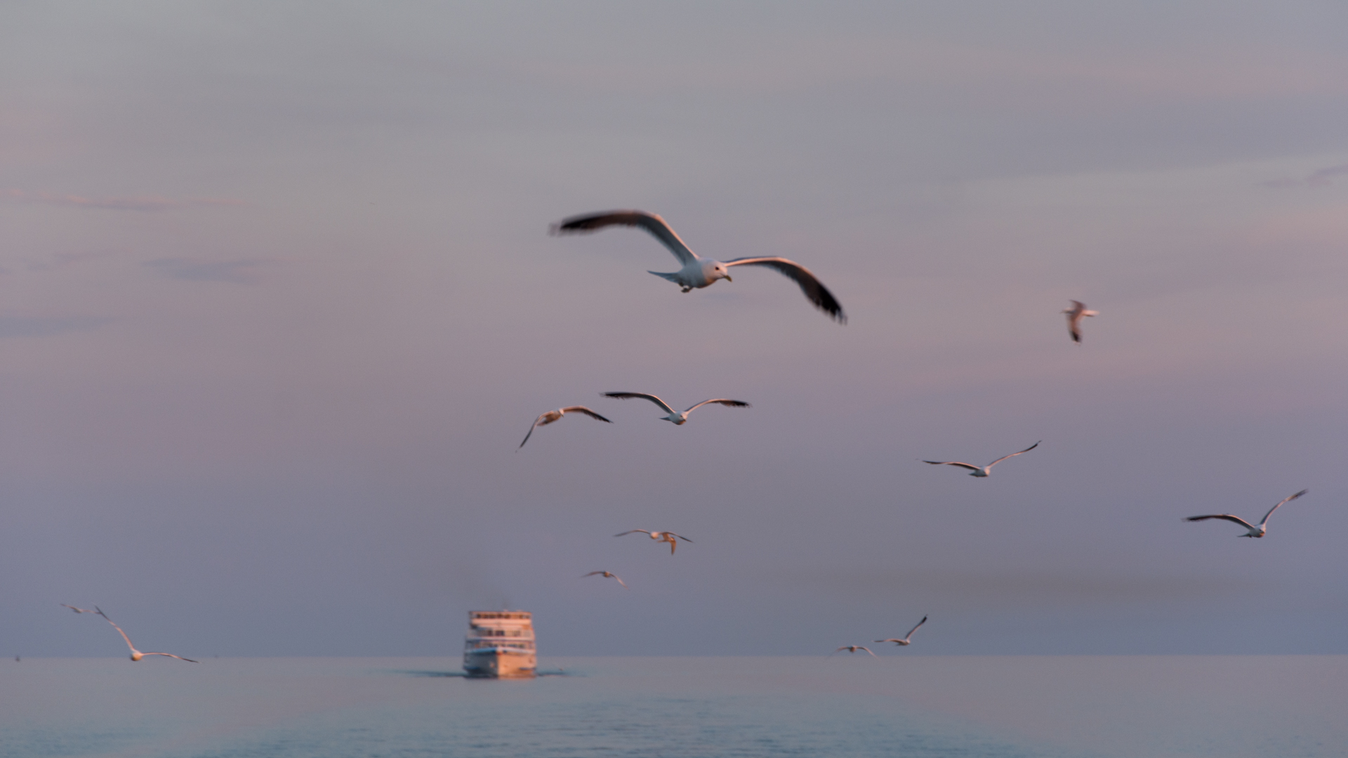 Prendre de la hauteur – Hélène Lefelle