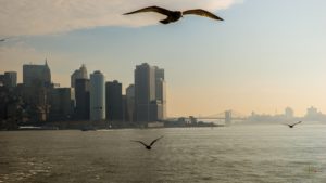 Prendre de la hauteur – Ramon Diaz