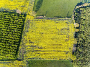 Prendre de la hauteur – Bernard Legros