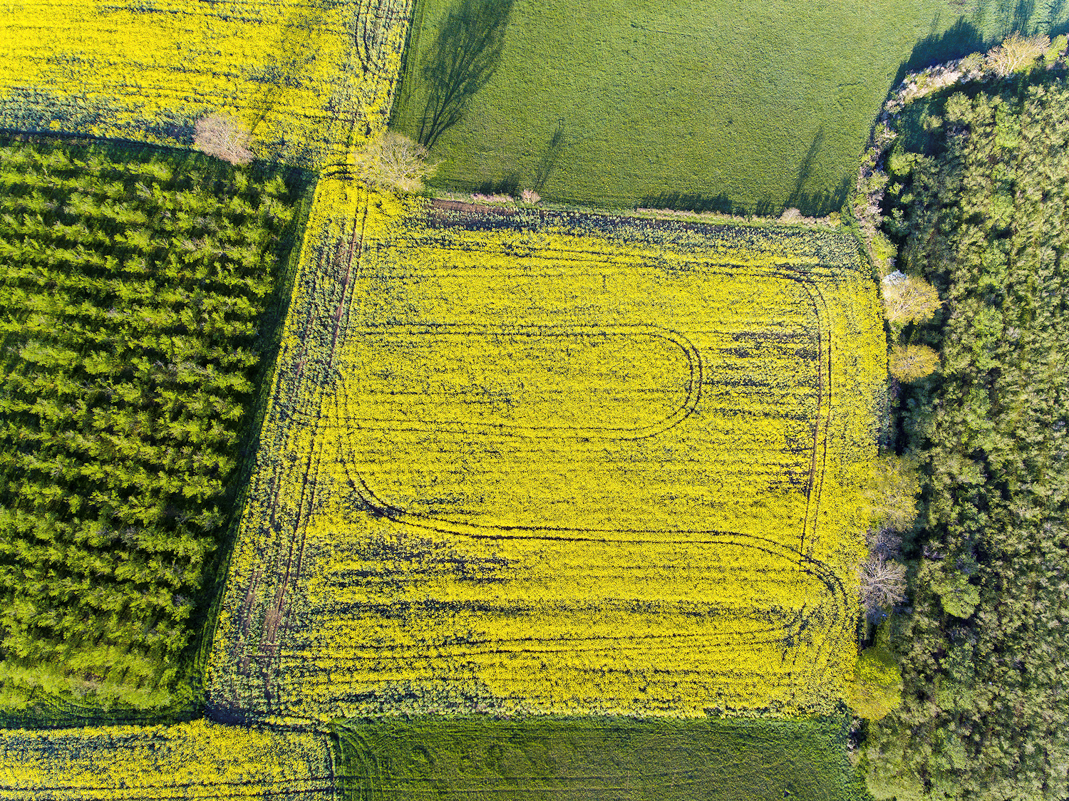 Prendre de la hauteur – Bernard Legros