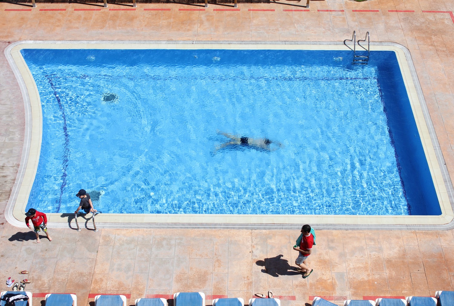 Prendre de la hauteur – Brigitte Marrot