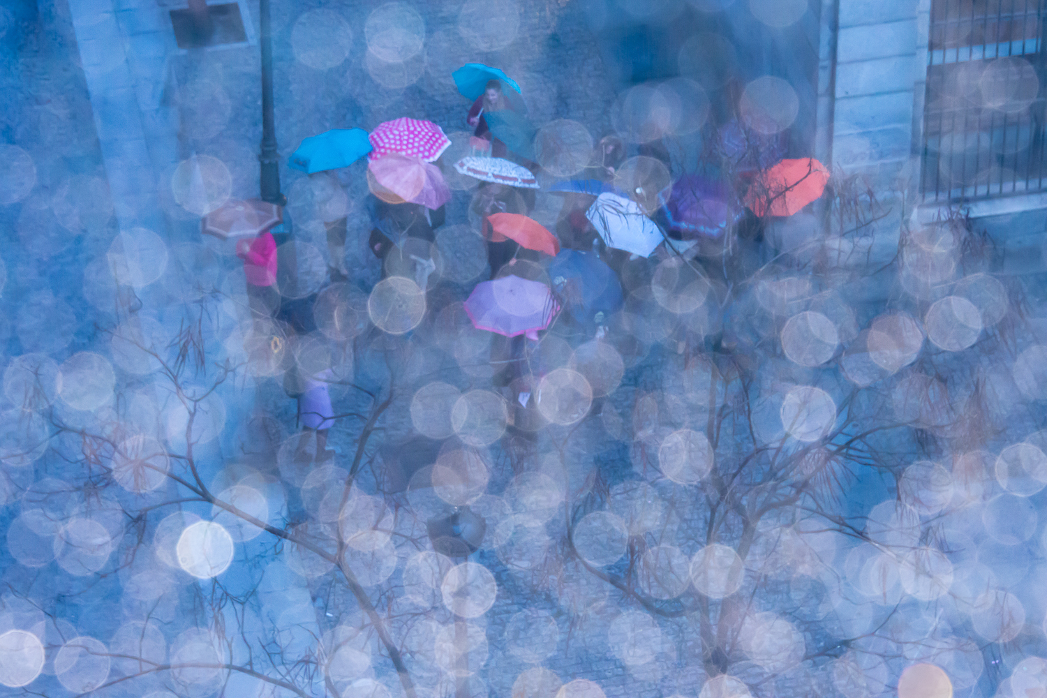 Prendre de la hauteur – Bernard Philippe