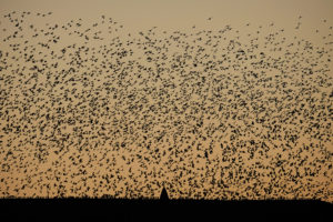 Prendre de la hauteur – Baptiste Estrade