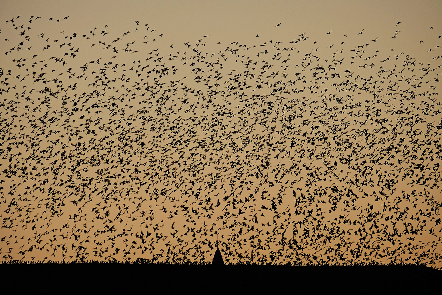Prendre de la hauteur – Baptiste Estrade