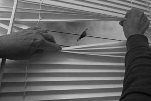 Le confinement vu par les membres d’Objectif Image