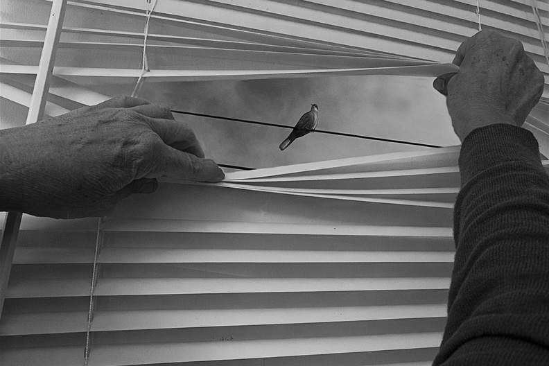 Le confinement vu par les membres d’Objectif Image