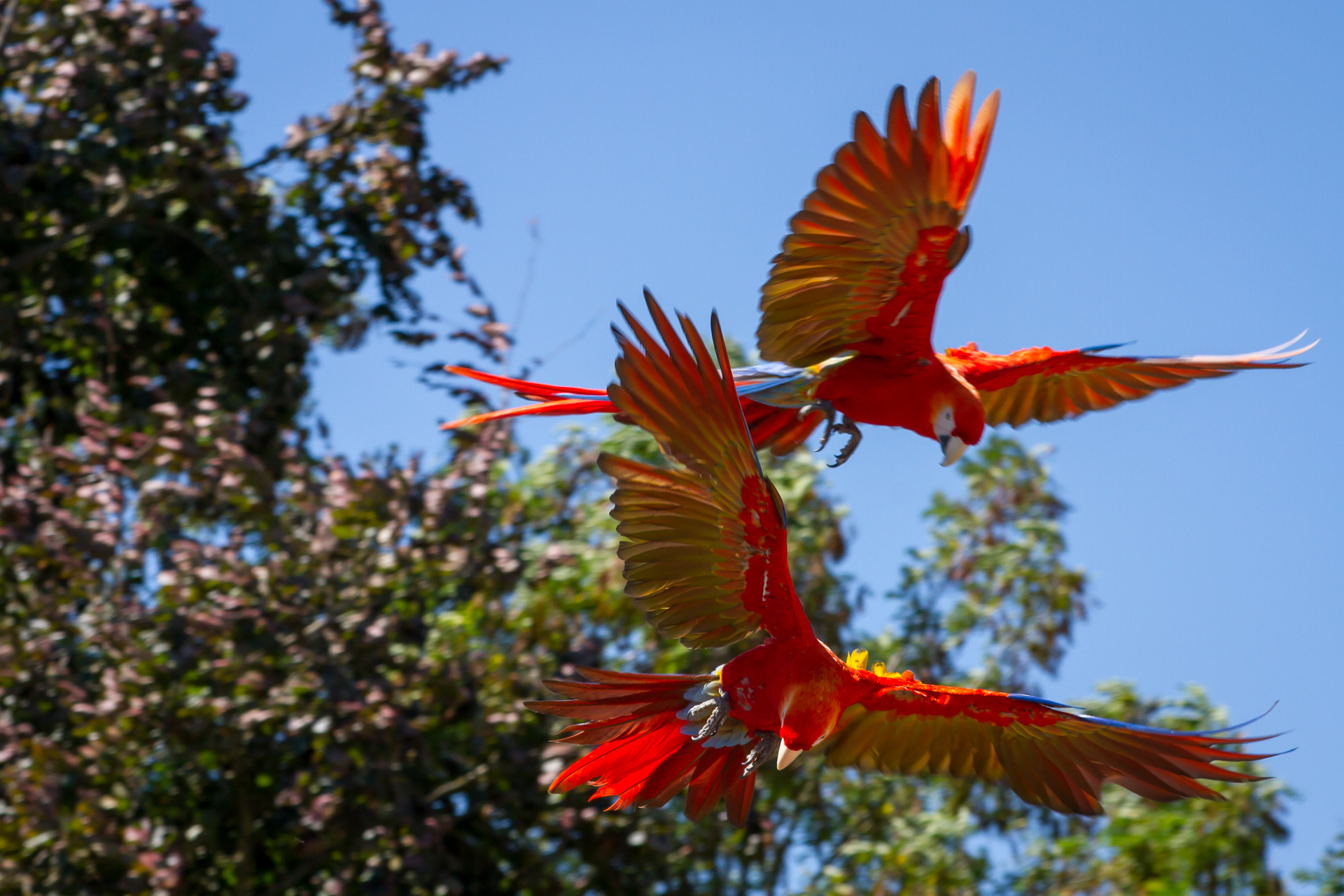 Sur la route des vacances – Christian Peter