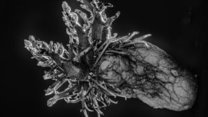 Question de Temps – Daniel Le Boëdec