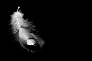 46ème Salon National Individuel