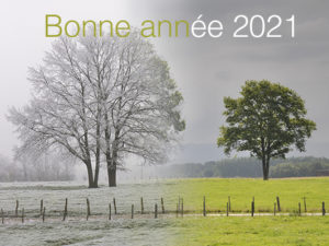 Le Printemps d&rsquo;Objectif Image : Question de Temps