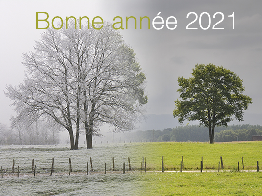 Le Printemps d&rsquo;Objectif Image : Question de Temps