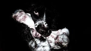 Question de Temps – Francis Michel