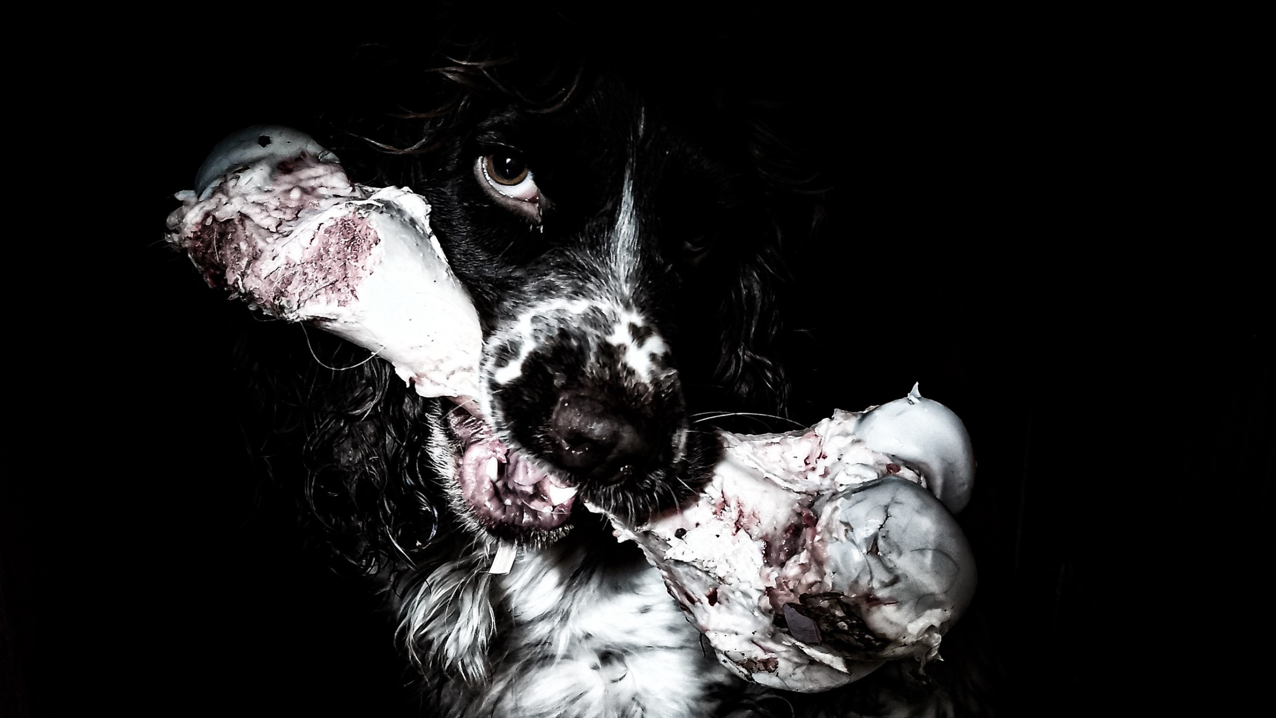 Question de Temps – Francis Michel