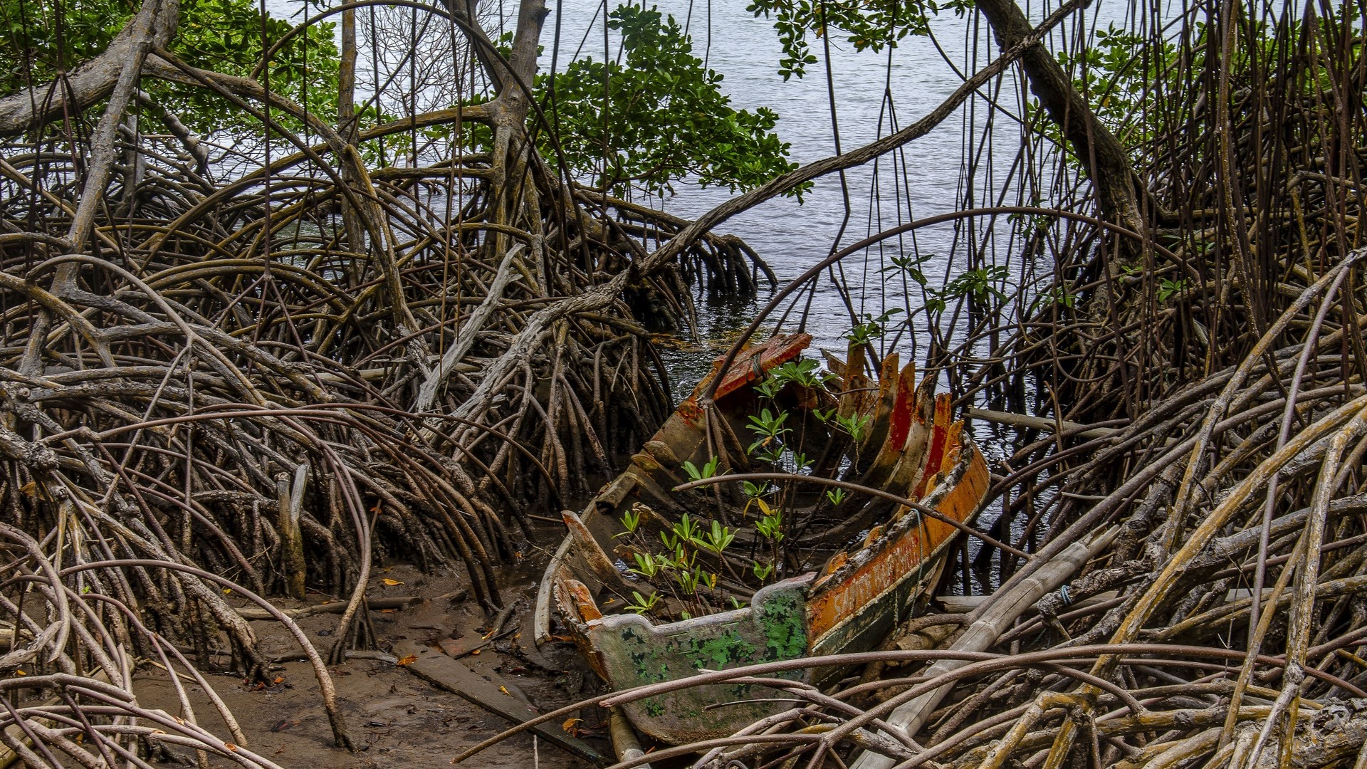 Question de Temps – Georges Jaffory