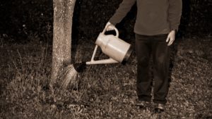 Question de Temps – Didier Wuthrich