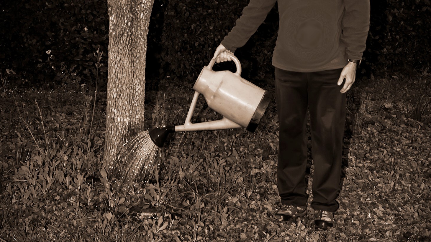 Question de Temps – Didier Wuthrich