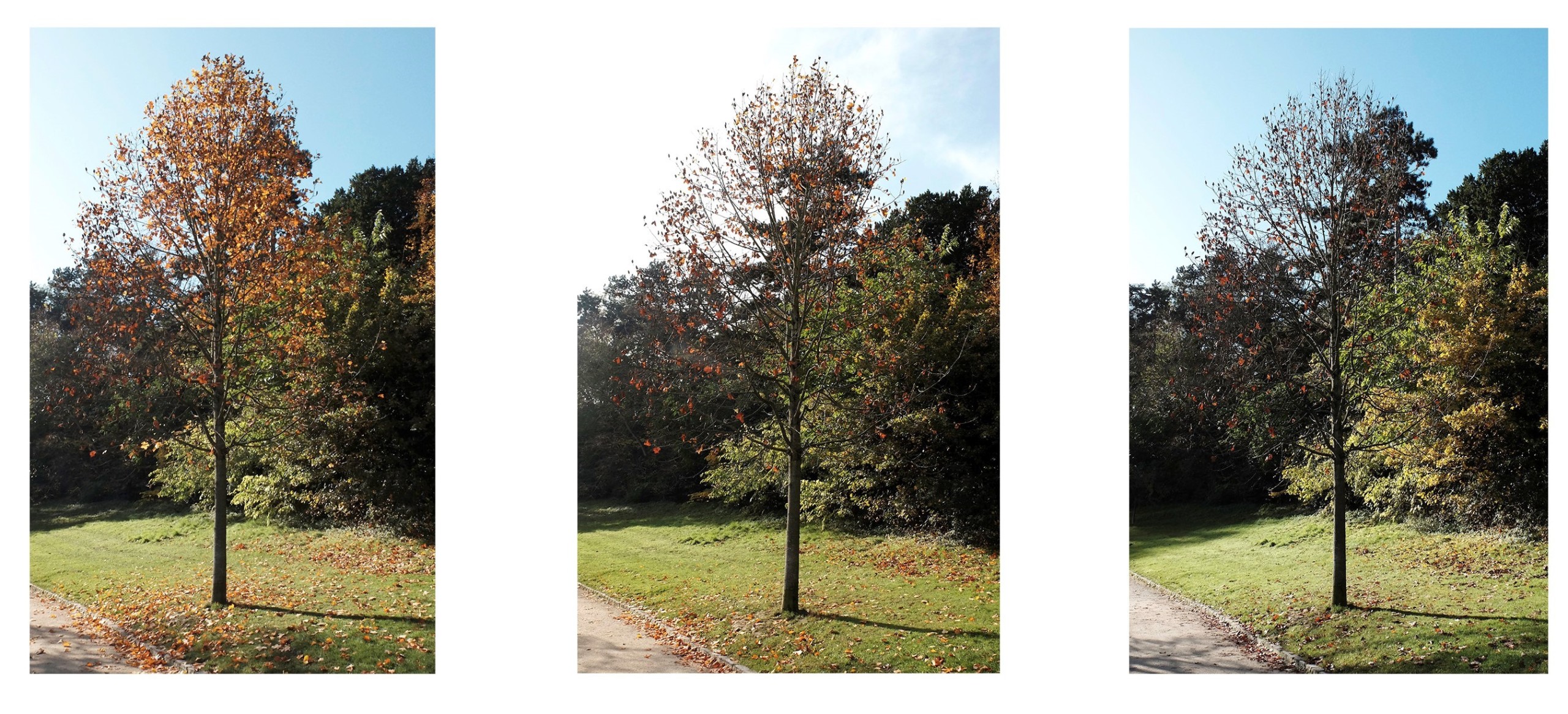 Question de Temps – Annie Borezée