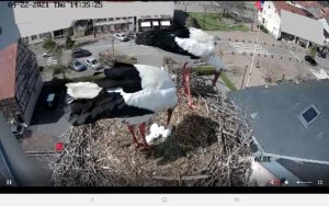 Question de Temps – Jacques Amiel